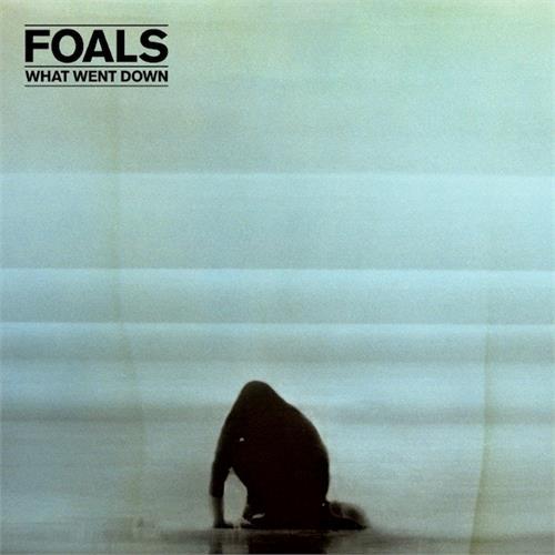 Foals What Went Down (LP)
